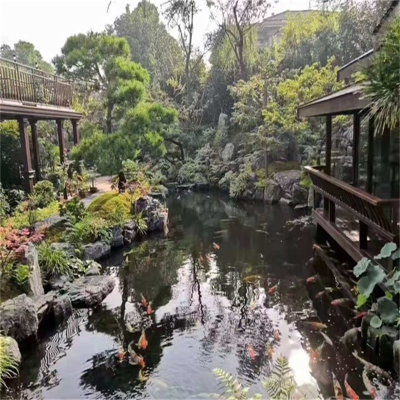 徐州假山植物小鱼池